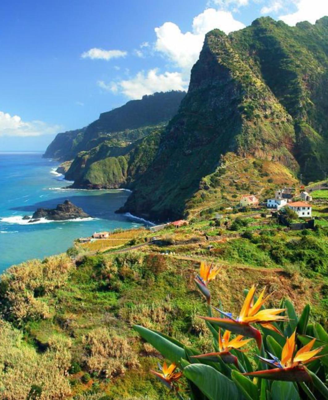 Pana House Leilighet Calheta  Eksteriør bilde
