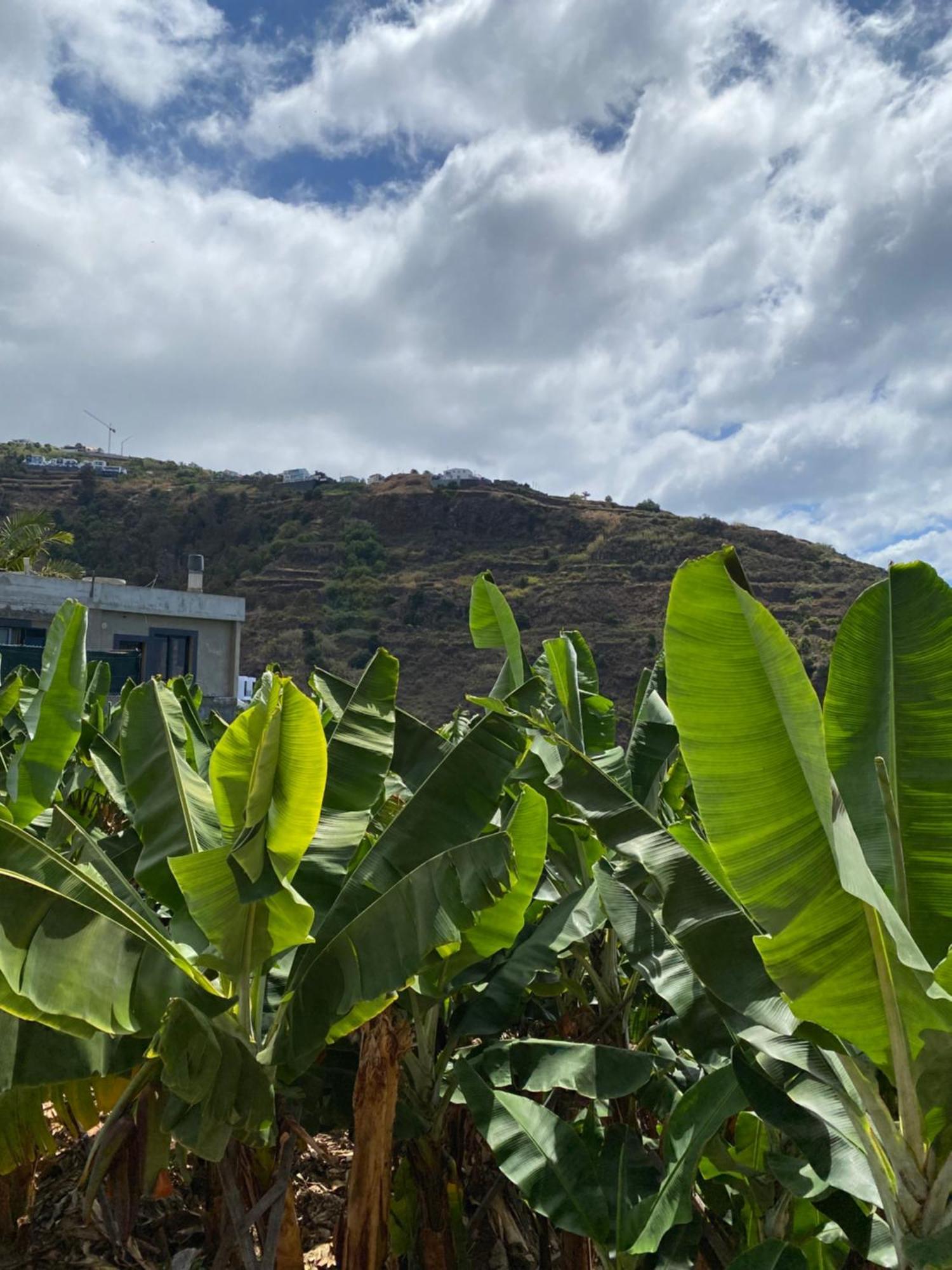 Pana House Leilighet Calheta  Eksteriør bilde